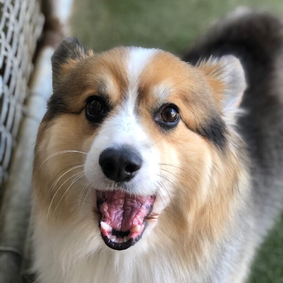 Meet your Posher, KP - Picture 3 of 4